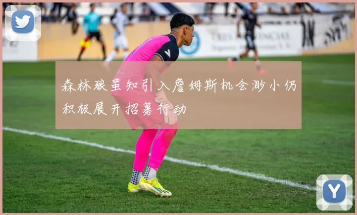 森林狼虽知引入詹姆斯机会渺小仍积极展开招募行动